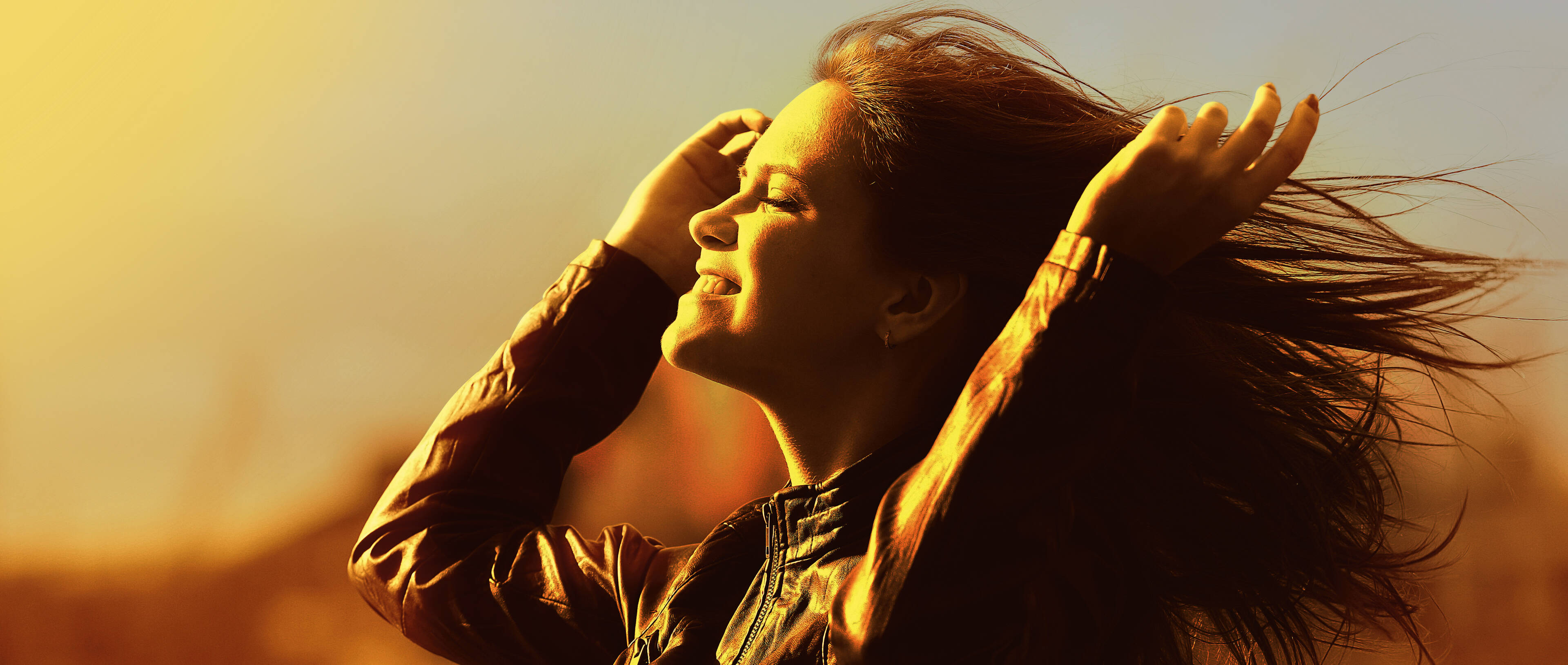 Solar.Pro.Tool - Photovoltaikanlagen planen